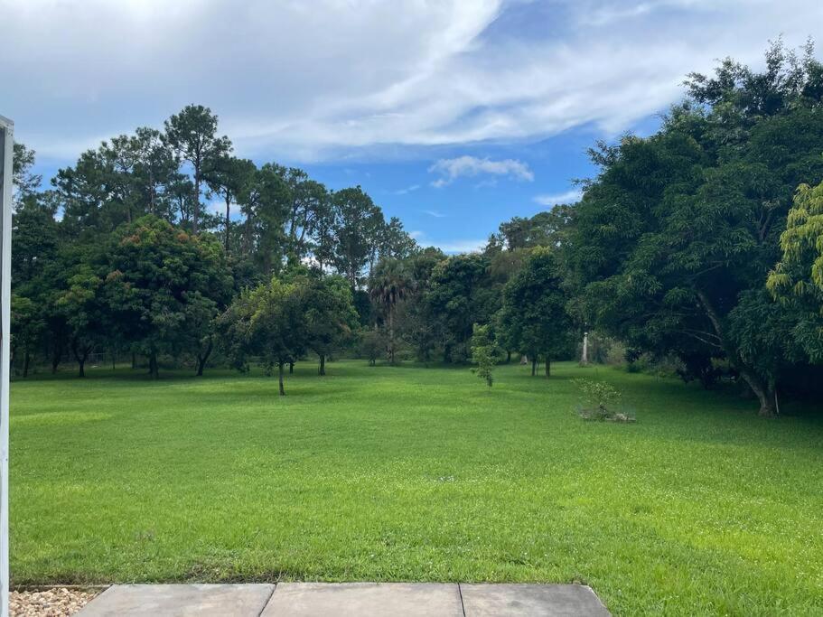 La Finca... Beautiful Countryside Home ! North North Naples Esterno foto