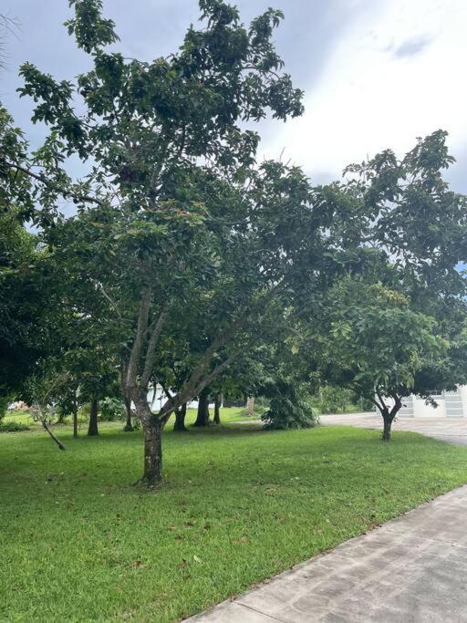 La Finca... Beautiful Countryside Home ! North North Naples Esterno foto